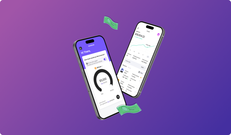 Lenme App 1 Review