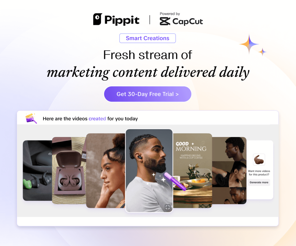 Best Pippit AI review 2025