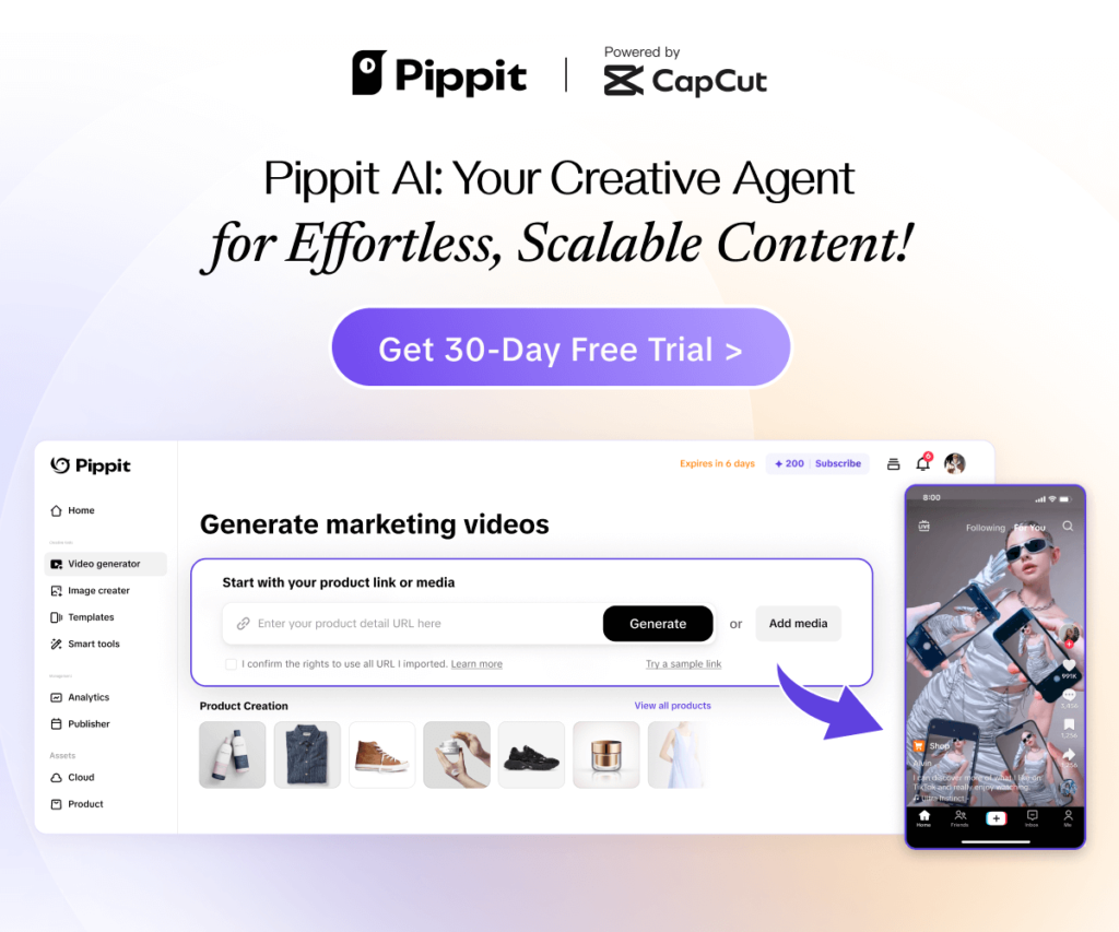 Best Pippit AI review 2025